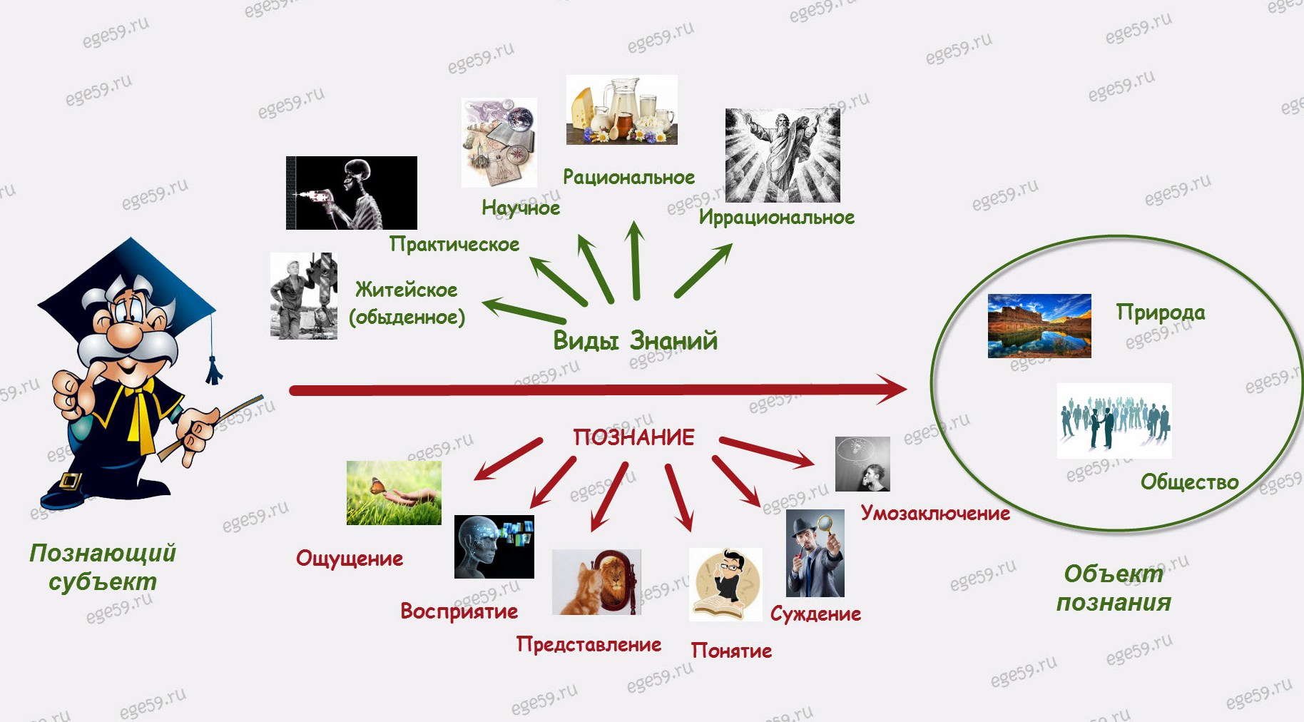 Запишите виды знаний. Знание это Обществознание ЕГЭ. Виды знаний Обществознание ЕГЭ. Формы знаний Обществознание ЕГЭ. Виды познания Обществознание ЕГЭ.