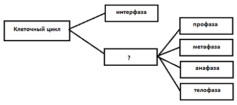 На приведённой схеме укажите недостающий аспект безопасности.. Аспекты безопасности схема. На приведенной схеме и укажите недостающее аспект безопасности. Указать на схеме.